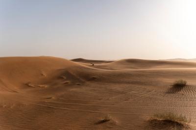 Beautiful and Warm Desert Landscape – Free Download