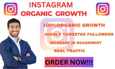 I Will Do Instagram Promotion and Manage Your Page Organically