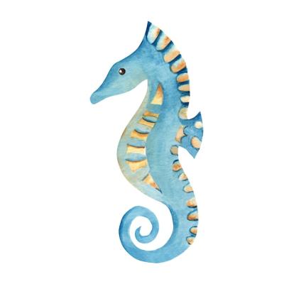 Seahorse Illustration for Marine Underwater Design – Free Download