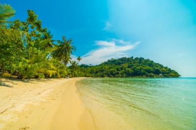 Beautiful Tropical Beach and Sea – Free Download