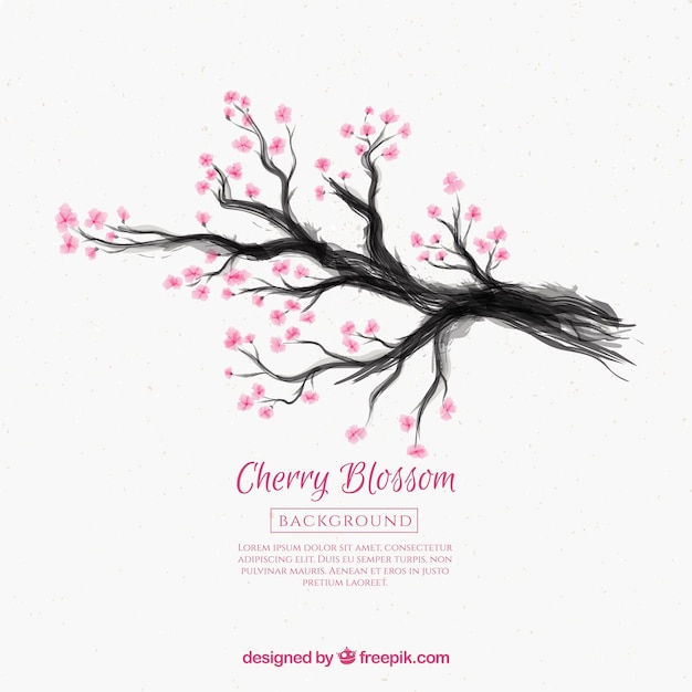 Ink Drawing Cherry Blossom Background – Free Download