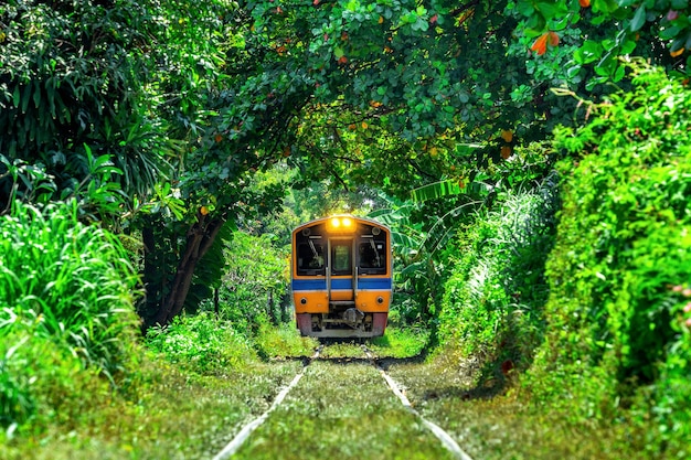 Train Journey Through a Tunnel of Trees in Bangkok, Thailand – Free Stock Photo, Download for Free