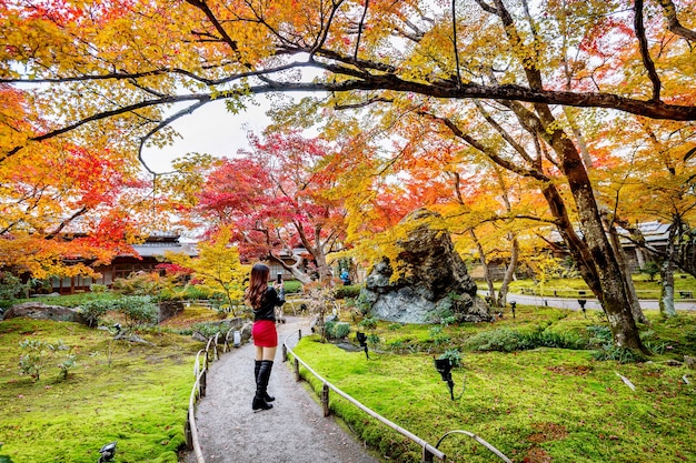 Young Woman Photographing Colorful Autumn Leaves in Kyoto, Japan – Free Download