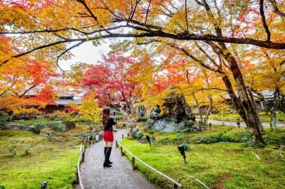 Young Woman Photographing Colorful Autumn Leaves in Kyoto, Japan – Free Download