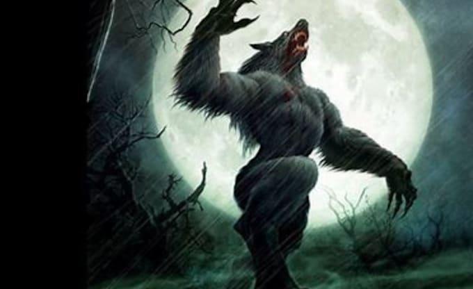 I Will Write Werewolf Romances