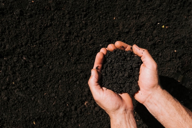 Hands Holding Soil – Free Stock Photo for Download