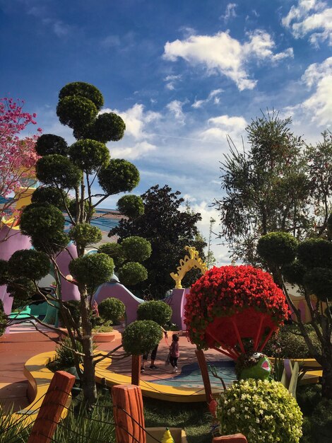 Stunning Red Flowering Plants in Park Against a Clear Sky – Free Download