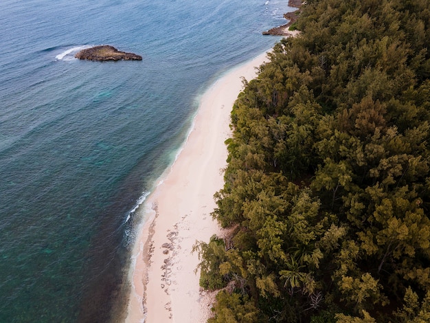 Breathtaking Hawaii Landscape and Beach – Free Download