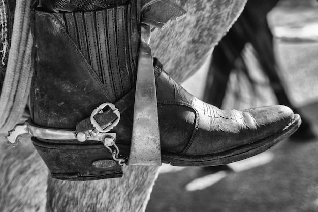 Greyscale Feet in Boots on a Saddle Stirrup – Free Stock Photo, Download Free