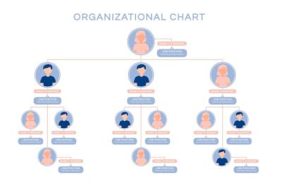 Linear Flat Organizational Chart Infographic – Free Stock Photo, Download Free