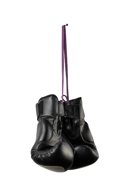 Boxing Gloves Isolated – Free Download Stock Photo