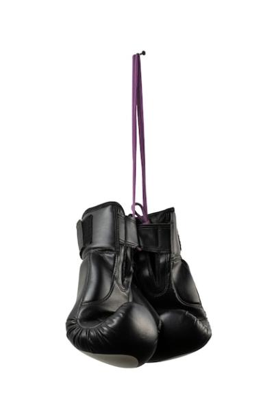 Boxing Gloves Isolated – Free Download Stock Photo