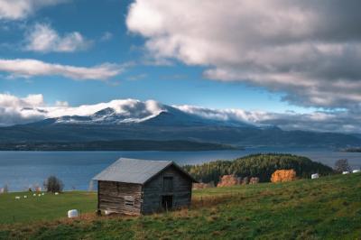 Wooden Cabin by a Serene Lake on a Sunlit Field – Free Stock Photo for Download