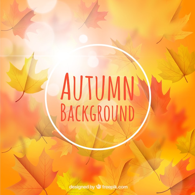 Detailed Blurred Autumn Background – Free Download