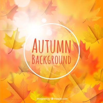 Detailed Blurred Autumn Background – Free Download