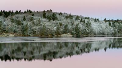 Beautiful Silent Morning at Sunrise with Calm Water Reflections – Free Stock Photo Download