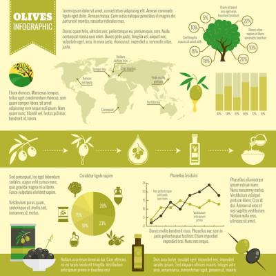 Infographic Template About Olive Oil – Free Download