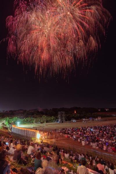 Stunning Firework Display at Night – Free to Download