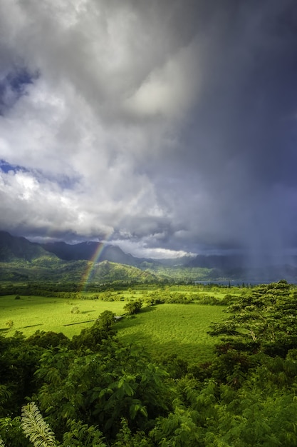 Stunning Landscape of Lush Green Grass and a Colorful Rainbow Amidst Storm Clouds – Free Download