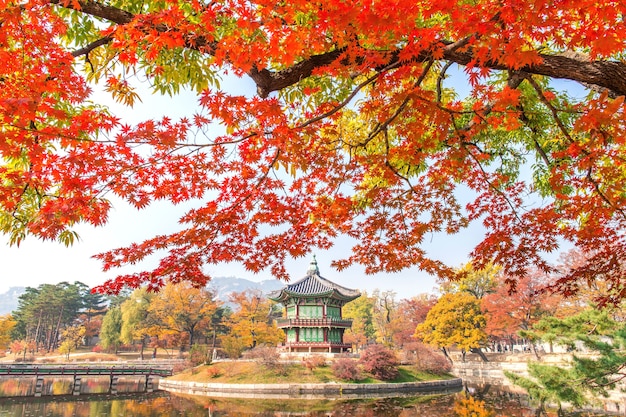 Autumn in Gyeongbukgung Palace, Korea – Free Stock Photo for Download