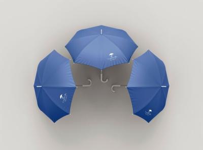 Umbrella Mockup Design – Download Free Stock Photo