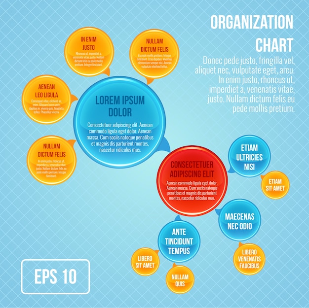 Organizational Chart Infographic: Business Bubbles and Circle Work Structure – Free Download