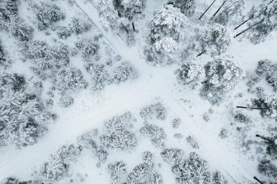 Aerial View of a Road Amidst Stunning Snow-Covered Forests – Free Download