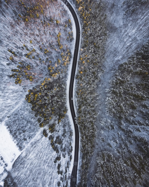 Stunning Aerial View of a Long Road Bordered by Trees and Snow – Free Download