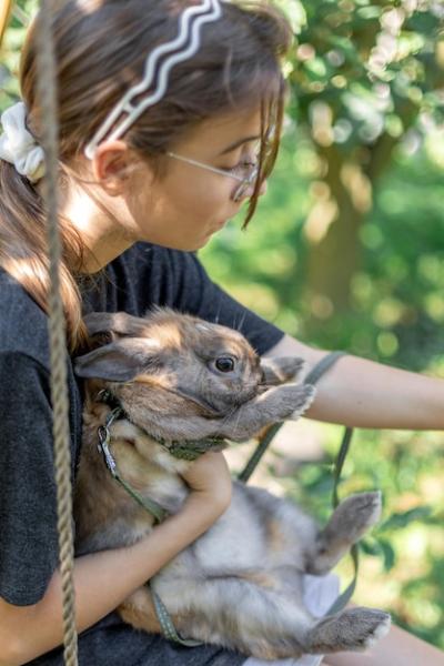 A Girl Playing with a Domestic Rabbit on the Street – Free Stock Photo, Download Free Stock Photo