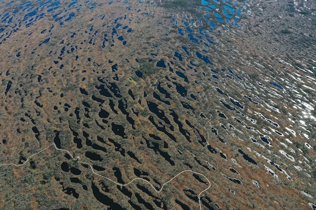 Aerial View of Lake Area with Lush Vegetation – Free Download