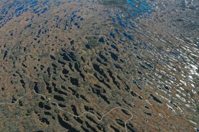 Aerial View of Lake Area with Lush Vegetation – Free Download