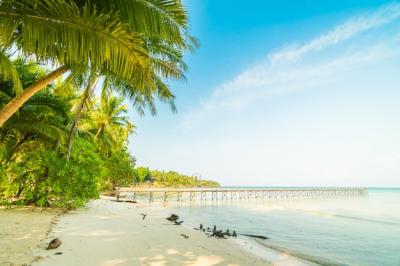 Beautiful Paradise Island with Beach and Sea – Free Stock Photo for Download