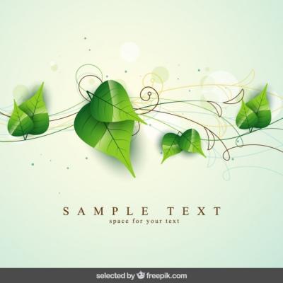 Natural Background with Leaves and Ornaments – Free Download