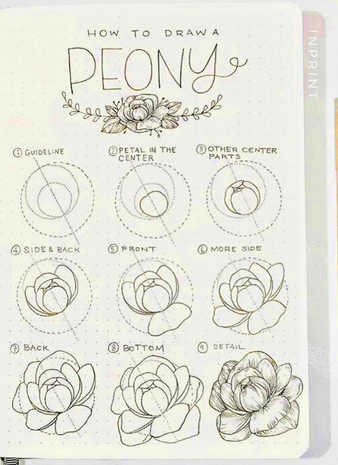 34 Best Step by Step Flower Doodle Tutorials for 2021  atinydreamer 