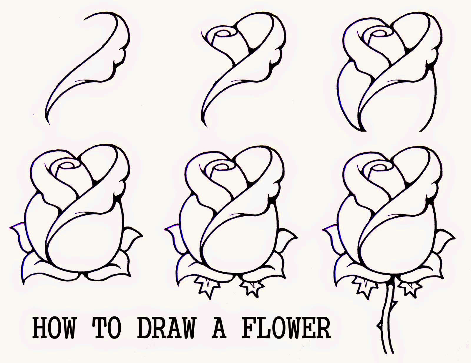 How to draw a flower easy step by step  Learn To Draw And Paint