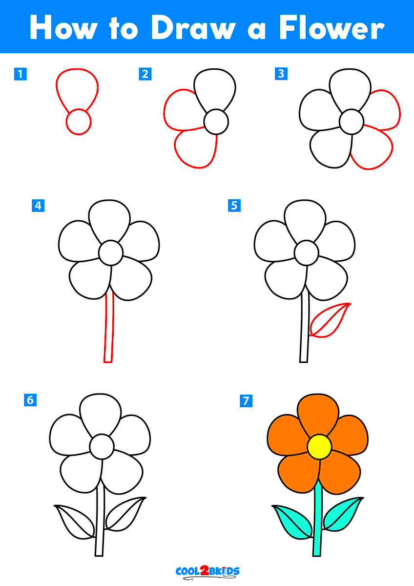 How to Draw a Flower  Cool2bKids