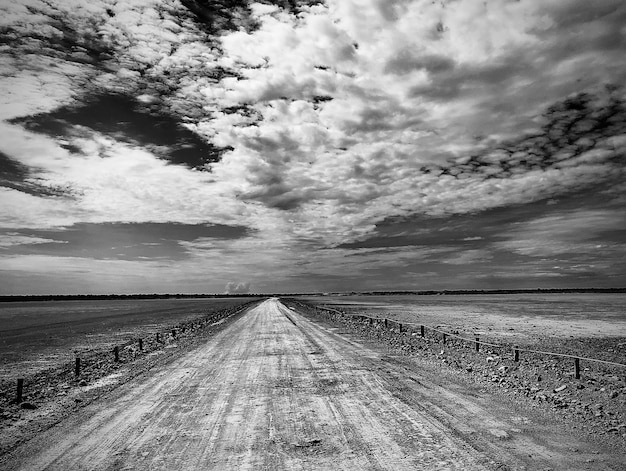 Greyscale Photo of Etosha Pan in Namibia’s National Park – Free Download