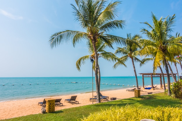 Beautiful Beach and Sea with Palm Tree – Free Stock Photo for Download