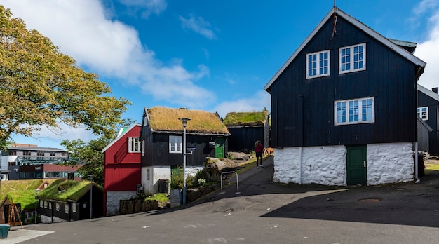 Nordic Island Houses with Grass Roofs – Free Download Stock Photos