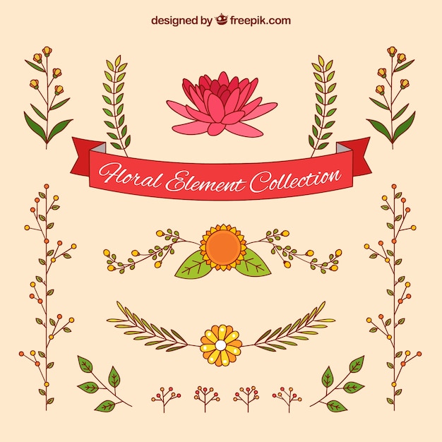 Hand Drawn Floral Element Collection for Download Free Stock Photo