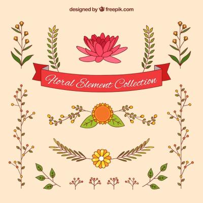 Hand Drawn Floral Element Collection for Download Free Stock Photo