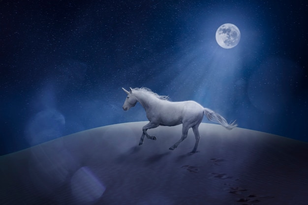 Majestic Unicorn in Natural Landscape – Free Download