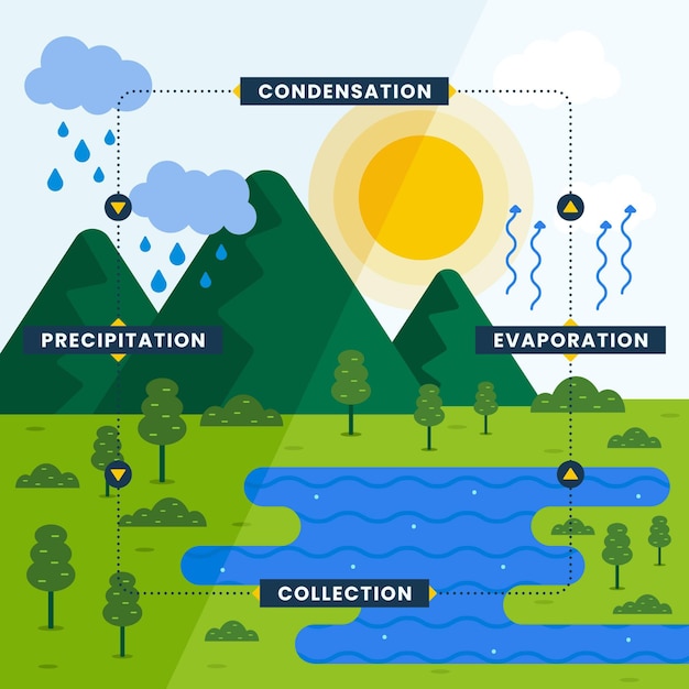 Flat Design Water Cycle – Free Stock Photo for Download