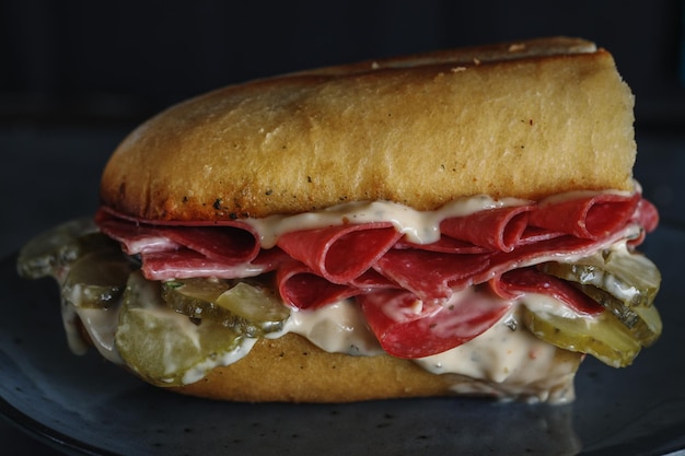 Tasty Sandwich with Salami, Pickled Cucumbers, and Mayo – Free Download