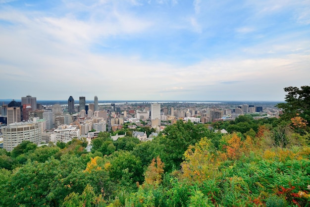 Montreal Day View from Mont Royal Featuring Stunning City Skyline – Free to Download