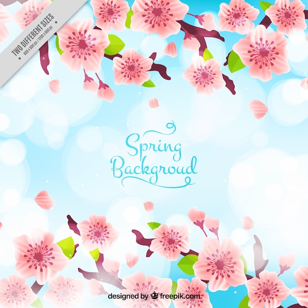 Bokeh Background Featuring Branches and Pink Flowers – Free Download