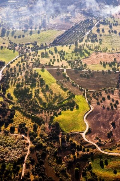 Aerial View of Farm Fields – Free Download