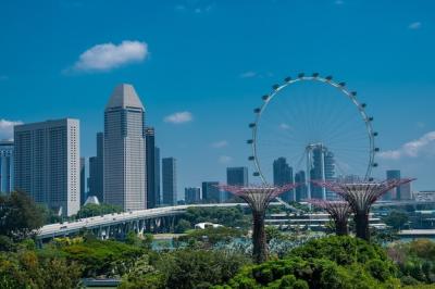 Amazing shot of the Gardens by the Bay in Singapore – Free Stock Photo Download