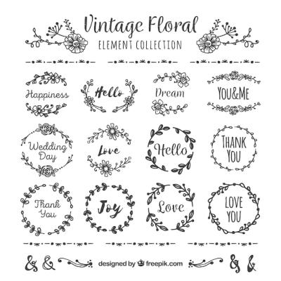 Vintage Ornaments Collection for Creative Projects – Download Free Stock Photos