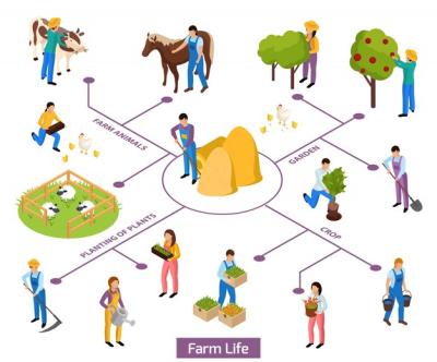 Isometric Composition Flowchart of Ordinary Farmers’ Life: Human Characters, Plants, and Animals – Free Download